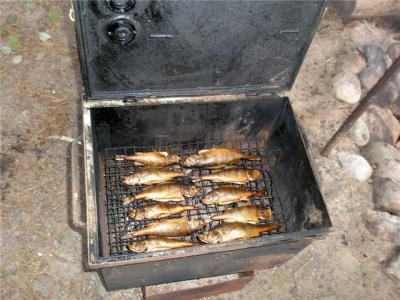 Подробный рецепт холодного копчения рыбы для новичков
